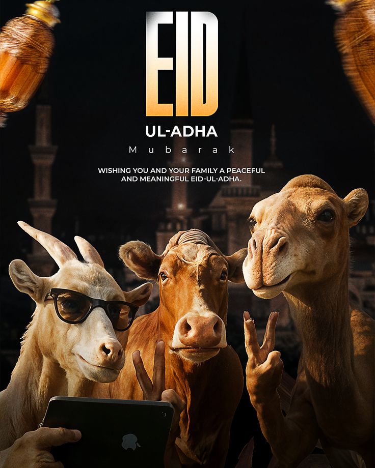 Eid Al Adha Specials